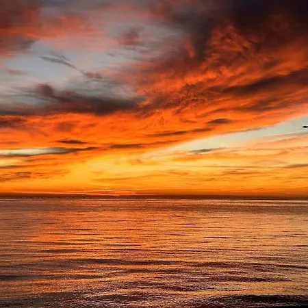 Beachfront, First Line, 2-bdr,2-bath, Swiming Pool אלביר