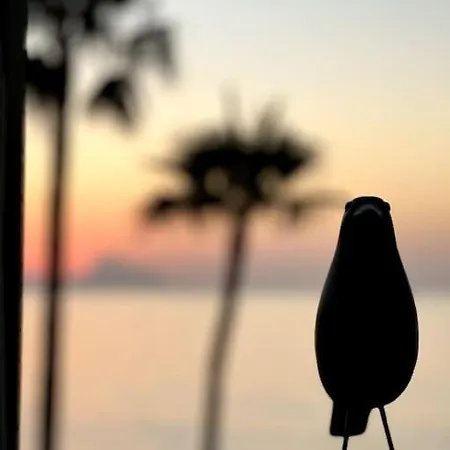 דירה Beachfront, First Line, 2-bdr,2-bath, Swiming Pool אלביר