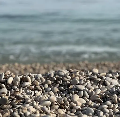 Beachfront, First Line, 2-bdr,2-bath, Swiming Pool