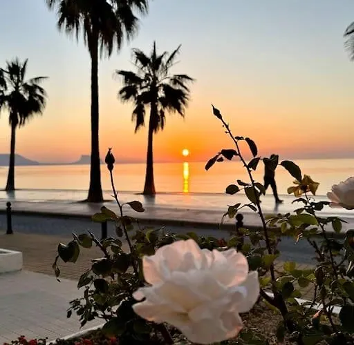 Beachfront, First Line, 2-bdr,2-bath, Swiming Pool * 阿尔比尔