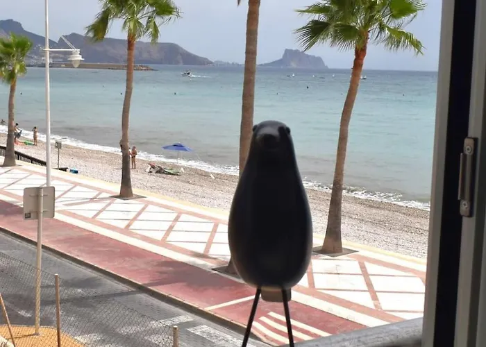 公寓 Beachfront, First Line, 2-bdr,2-bath, Swiming Pool 阿尔比尔