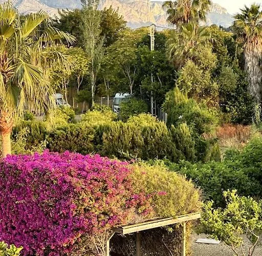 Beachfront, First Line, 2-bdr,2-bath, Swiming Pool El Albir