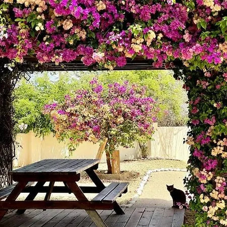 Beachfront, First Line, 2-bdr,2-bath, Swiming Pool Daire *