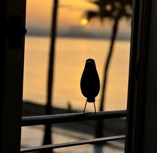 Beachfront, First Line, 2-bdr,2-bath, Swiming Pool 아파트