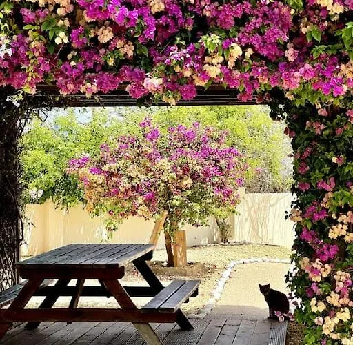 Beachfront, First Line, 2-bdr,2-bath, Swiming Pool 아파트 *