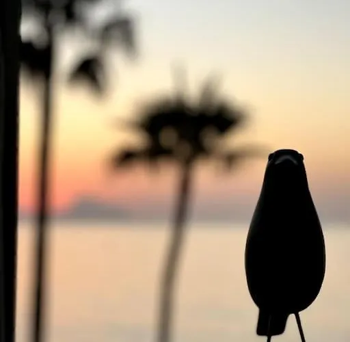 아파트 Beachfront, First Line, 2-bdr,2-bath, Swiming Pool 알비르