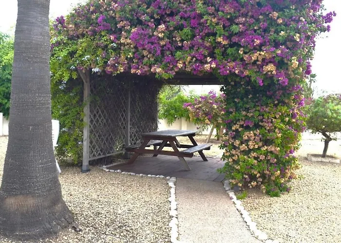 Beachfront, First Line, 2-bdr,2-bath, Swiming Pool 알비르