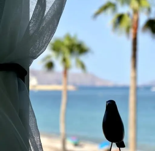 아파트 Beachfront, First Line, 2-bdr,2-bath, Swiming Pool